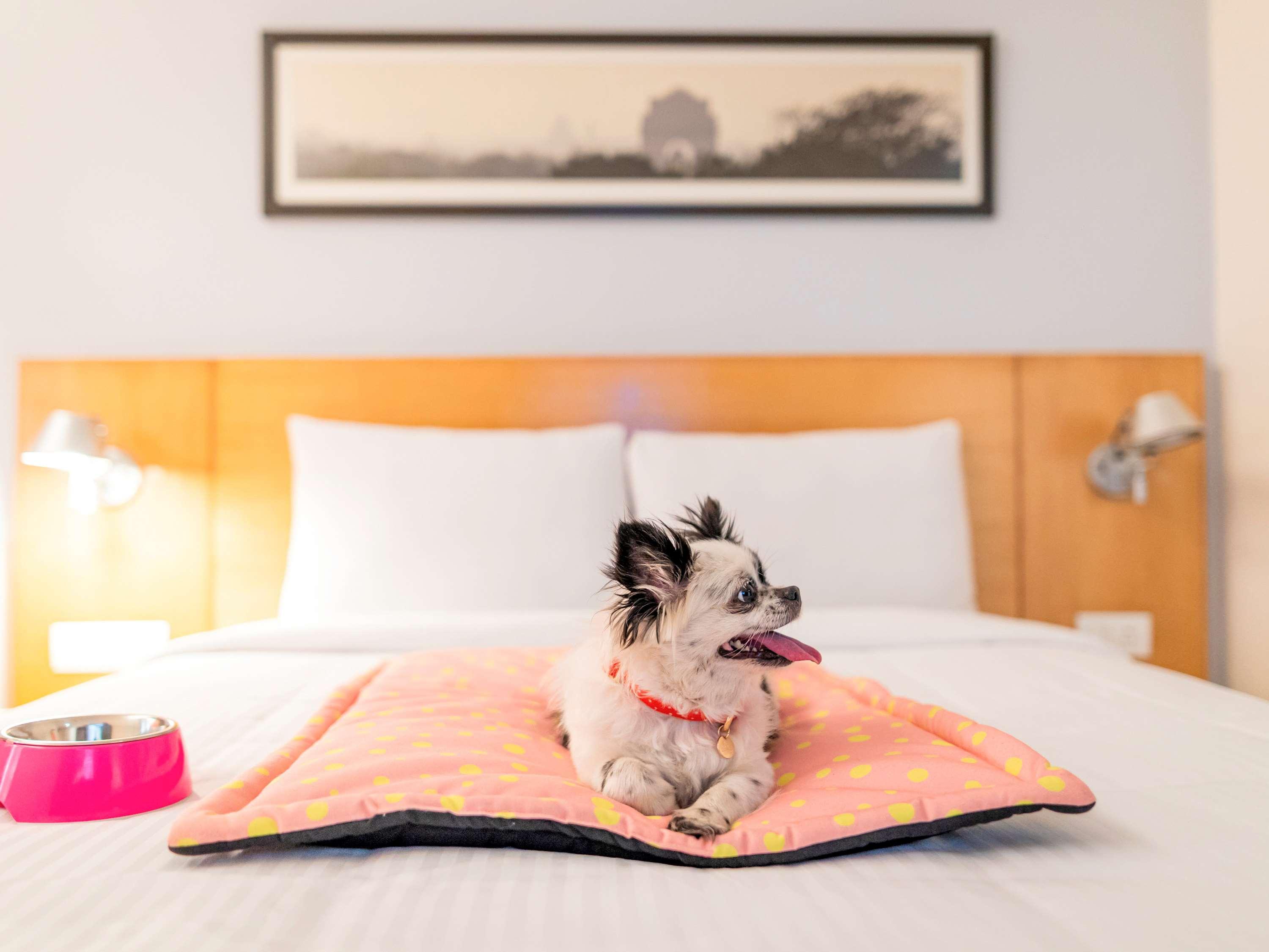 Ibis Jaipur City Centre - An Accor Brand Buitenkant foto
