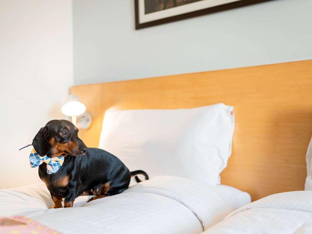 Ibis Jaipur City Centre - An Accor Brand Kamer foto